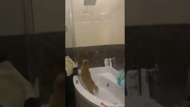 дайте воду смотреть онлайн