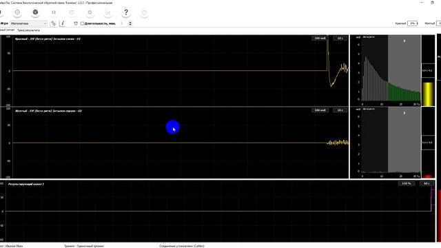 Проведение одиночного ЭЭГ-тренинга с датчиками "Колибри". смотреть онлайн