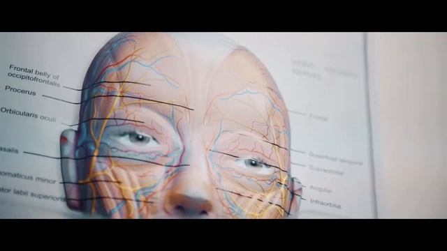 RYZE DESIGN BUILD - Ivy Laser Clinic смотреть онлайн