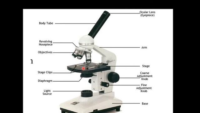Microscope смотреть онлайн