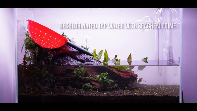 Waterbox Clear 16 Re-Scape смотреть онлайн