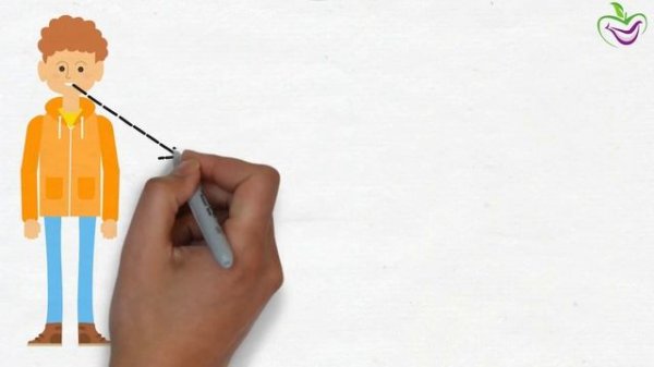 كيف اختيار ابتسامة أحلامك