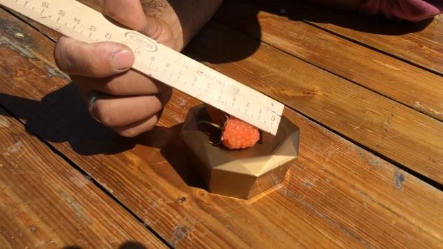 Малина сорт Золотые купола смотреть онлайн