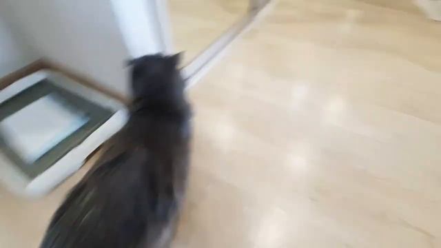 Бася и Рыся не скучают!