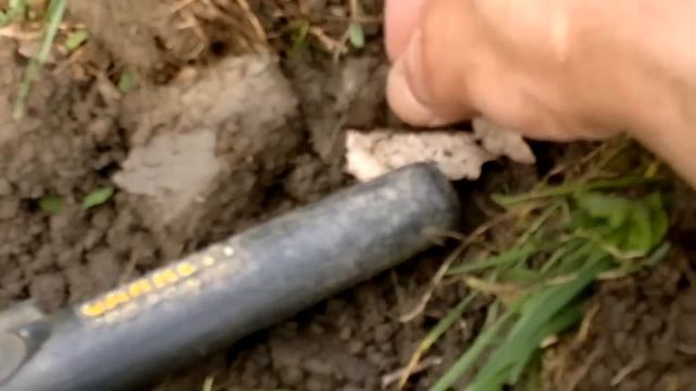 24-4-2013 Ricerca Metal detector Garrett Euro Ace 350 смотреть онлайн