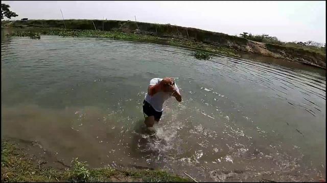 #Vlog31 || GoPro Underwater test || GoPro Hero 8 Black || Kamal Krishna Deka смотреть онлайн