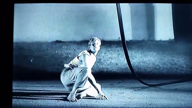 Kyle Robert Spear • Leopard Skin Creepers • смотреть онлайн