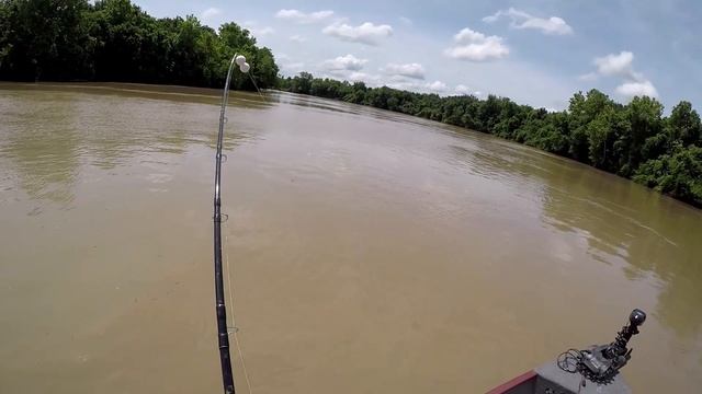 Alligator Gar Fishing