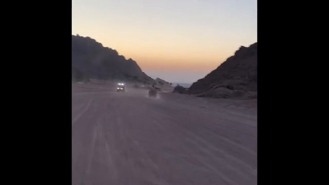 Safari (Sharm el Sheikh, Egypt) 2021 смотреть онлайн