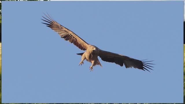 Тамалинская земля смотреть онлайн