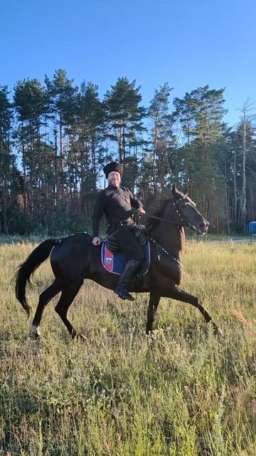 Павел Поляков рубка шашкой на коне "Казарла"
