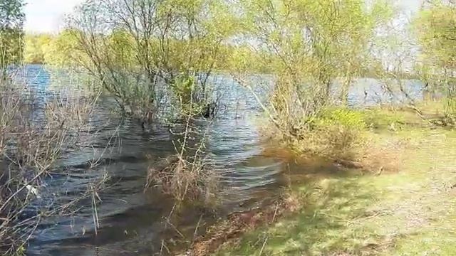 Оболонь потоп в Киеве смотреть онлайн