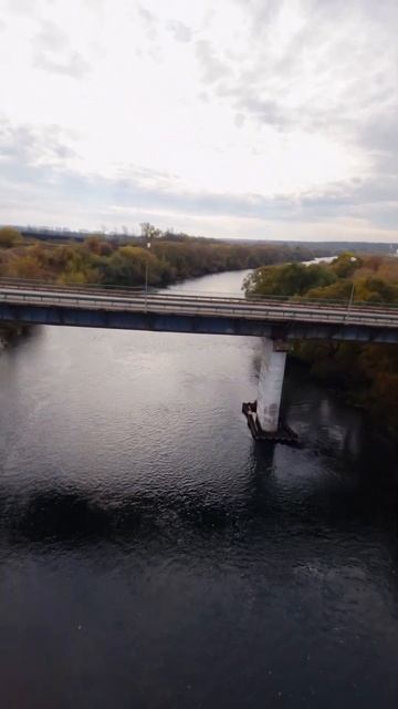 Мост смотреть онлайн