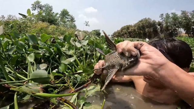 Anh Ba Phải | Thực Hiện Thử Thách Sinh Tồn Tay Không Của Fan Đặt Ra