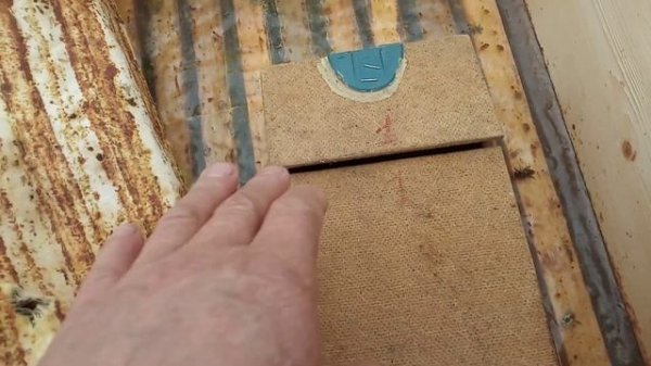 Как сохранить пчелу ранней весной .