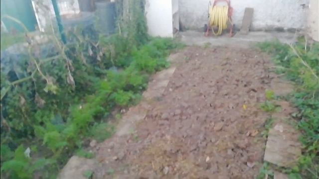 Bilan du potager 2023 et petit tour au jardin смотреть онлайн