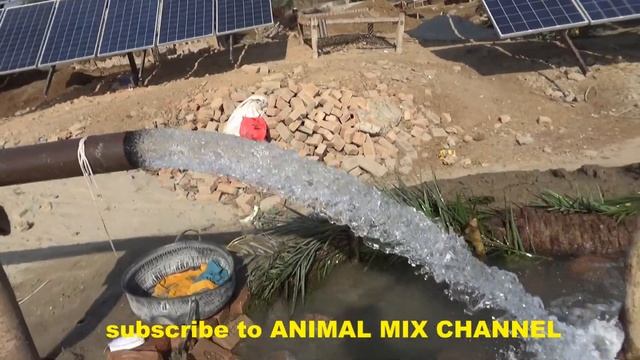 Solar Tube well 20 HP Motor 36 Solar Panel 300 Watt Delivery 5 inch Water depth 30 Feet смотреть онлайн