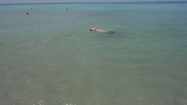 Пляж Ката Ной. Пхукет. Таиланд. Февраль 2013 г. смотреть онлайн