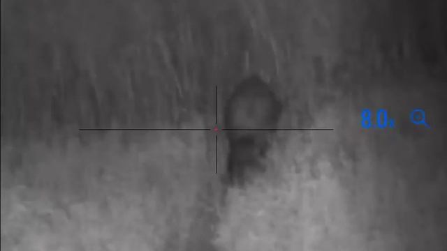 Pulsar Digex N455 - wild boar - no shoot смотреть онлайн