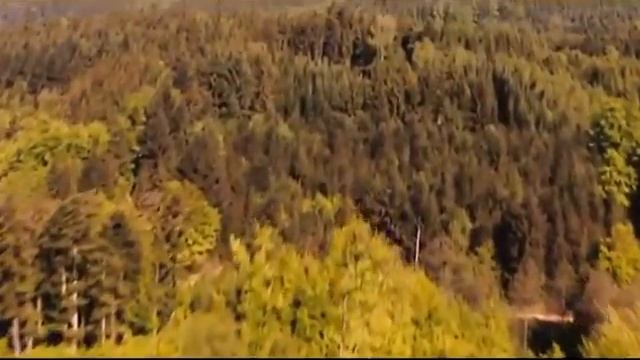 Трэвелгид, 22 мая 2015 смотреть онлайн