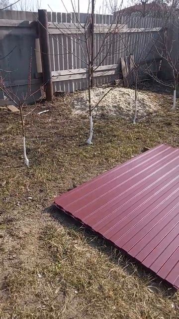 24 марта 2024 г. (1) смотреть онлайн