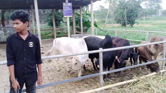 সাভার মিনি চিড়ায়াখানা,,Savar mini zoo′' (sabbir vlog's4.9) смотреть онлайн