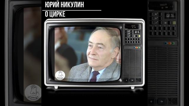 #shorts - Юрий Никулин - о цирке смотреть онлайн