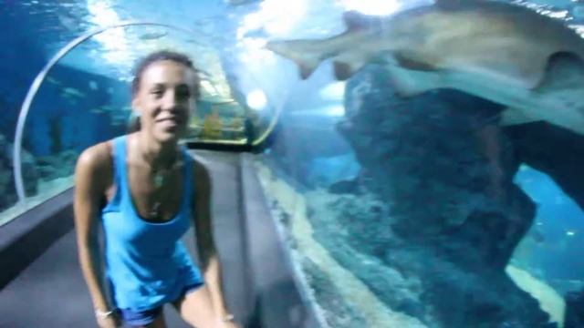 Океонариум!!! смотреть онлайн