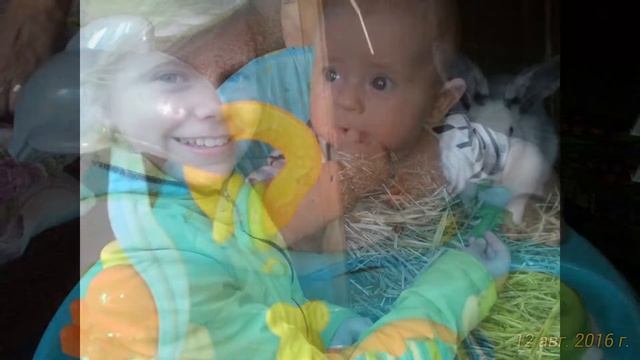 семейные .....фото. смотреть онлайн