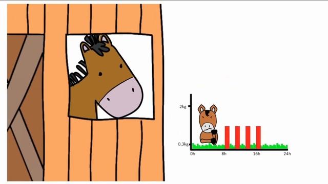 CS2017 Smart Feeder смотреть онлайн