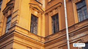 Место, где учатся ветеринары Питера │ СПбГУВМ
