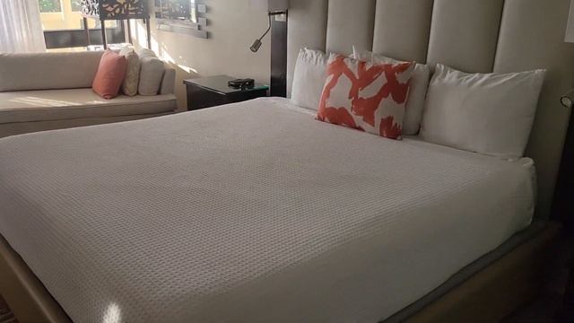 Bucuti and Tara Beach Resort, Deluxe Ocean View Room смотреть онлайн