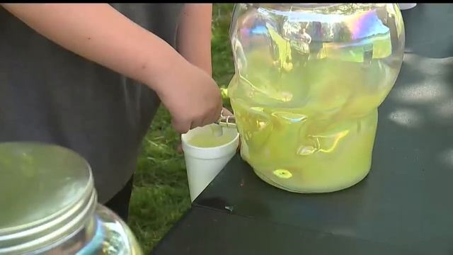 Sisters in Lordstown, Lily and Olivia McPhearson, bank on lemonade stand for vacation money смотреть онлайн