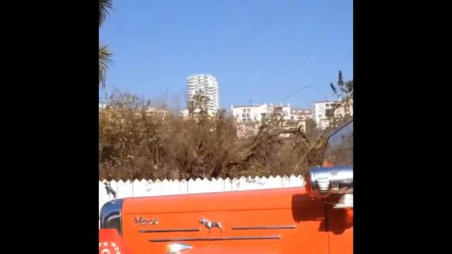 Carro reliquia de Octava Compañía del CBVM. смотреть онлайн