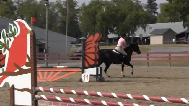 Alicia & Quazar 3 смотреть онлайн