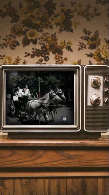 #SHORTS ВИА Гая (qaya) - Удивительная жизнь смотреть онлайн