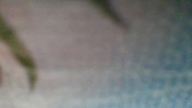 Сказка(А у ручья, а у ручья,где-то играет сказка моя,где-то играет сказка моя(наброски) смотреть онлайн