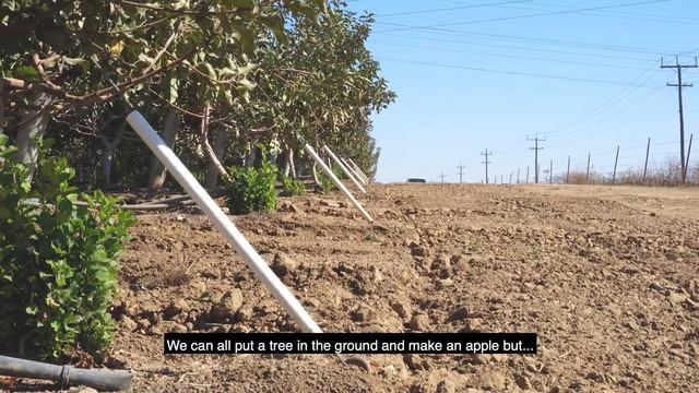 The Modi Apple Story смотреть онлайн