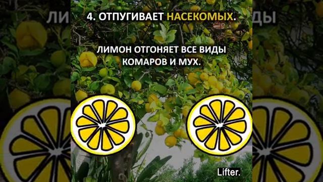 8 ноября 2019 г. смотреть онлайн