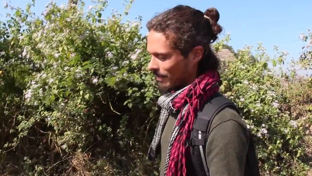 Living with Wildlife смотреть онлайн