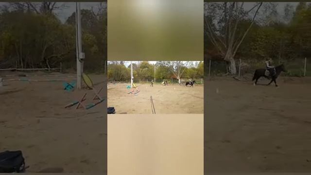 На новом месте так классно. Такая большая территория смотреть онлайн