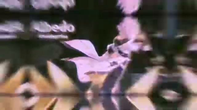 Genshin Impact - Albedo edit смотреть онлайн