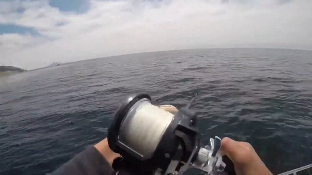 Big Bass and Barracuda action!!! Pt.2 7/16/20 смотреть онлайн