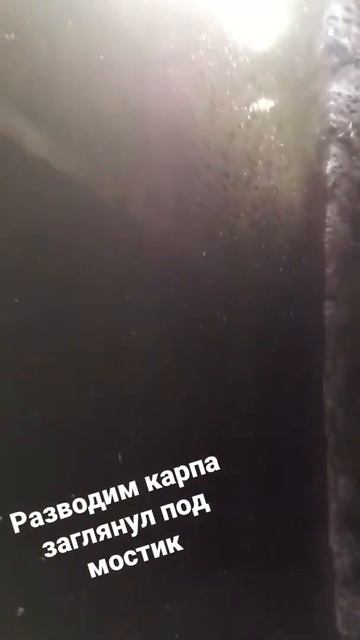 Малёк кишит скоро откроется рыбалка в иглинском районе какая рыба есть отвечу в комментарий смотреть онлайн