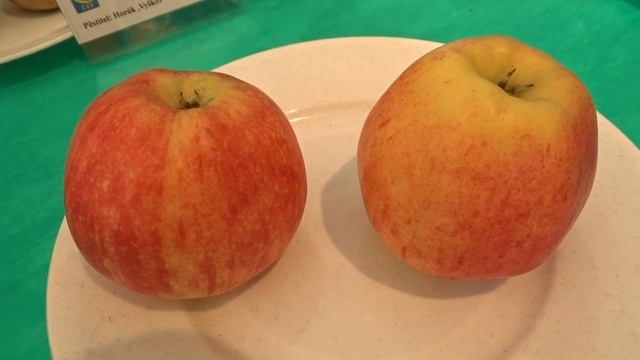 Malus ´Gala´ смотреть онлайн