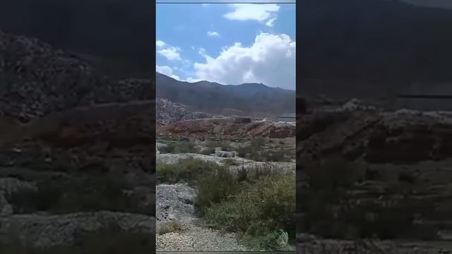 Отчёт смотреть онлайн