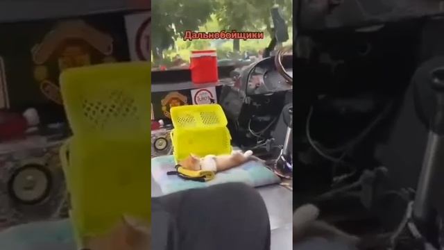 ТУПЫЕ ХОХЛЫ смотреть онлайн