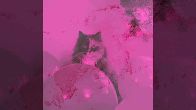 Атмосфера (Котята) смотреть онлайн