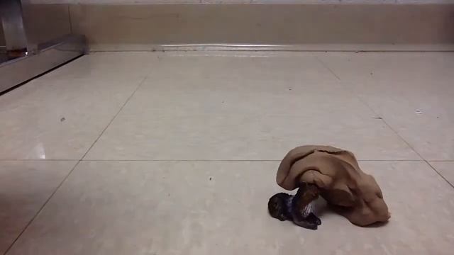 Cat vs Blob смотреть онлайн