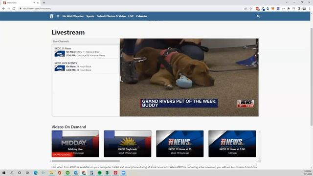 We call him "Buddy"-Grand Rivers Humane Pet of the Week смотреть онлайн